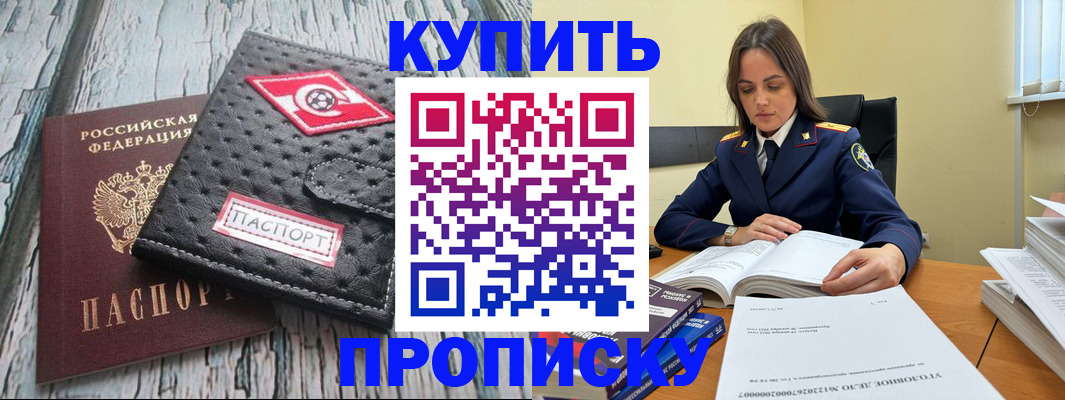 где прописаться в Ельне